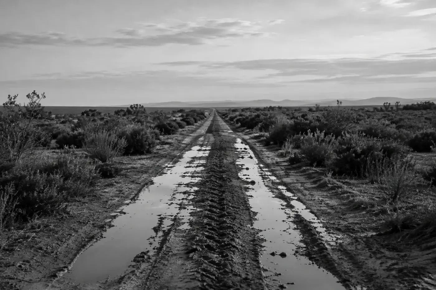 Fotografía en blanco y negro de un camino de tierra con charcos que atraviesa una llanura de matorrales hacia el horizonte